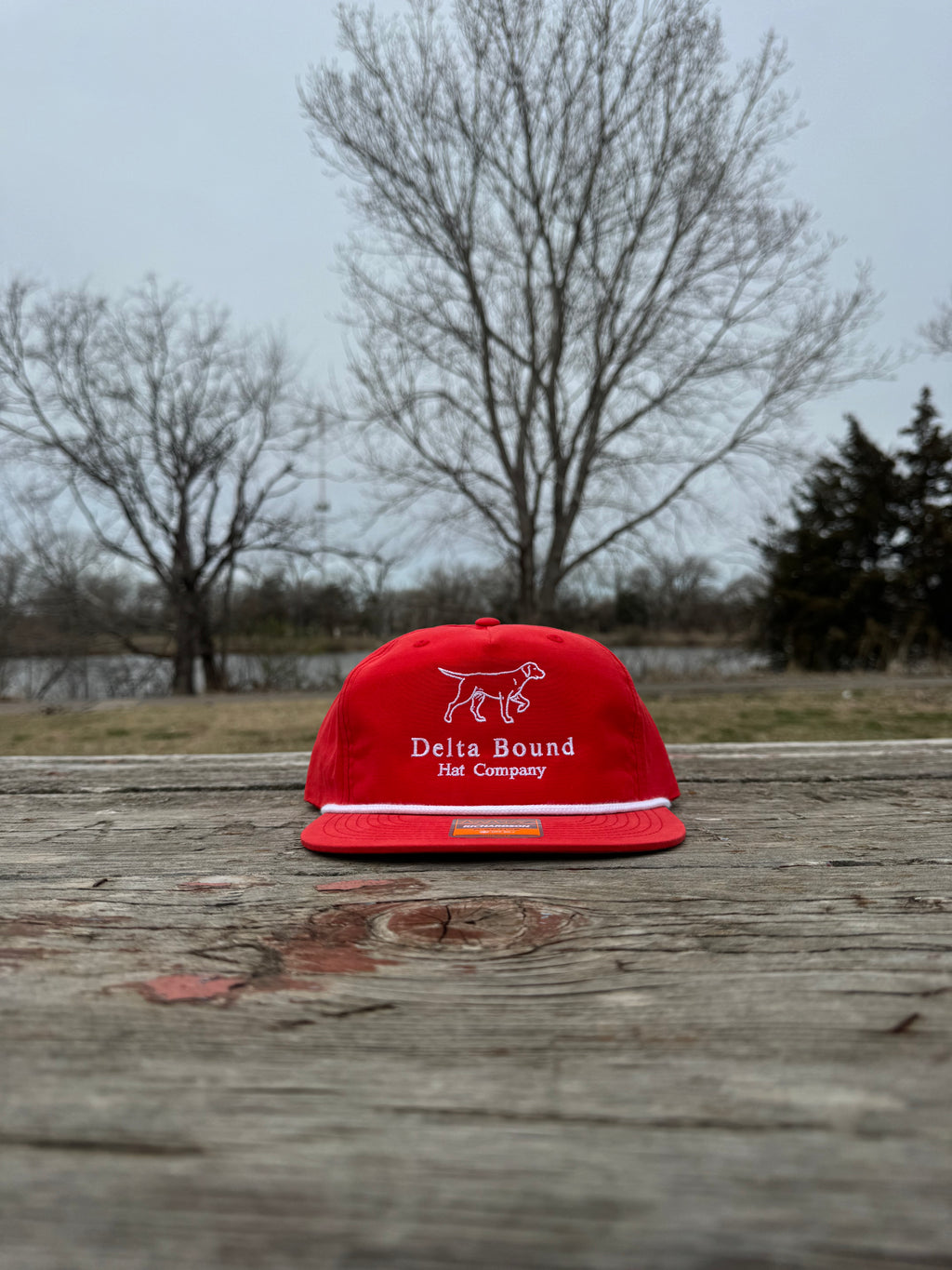 Red Clay - Dog