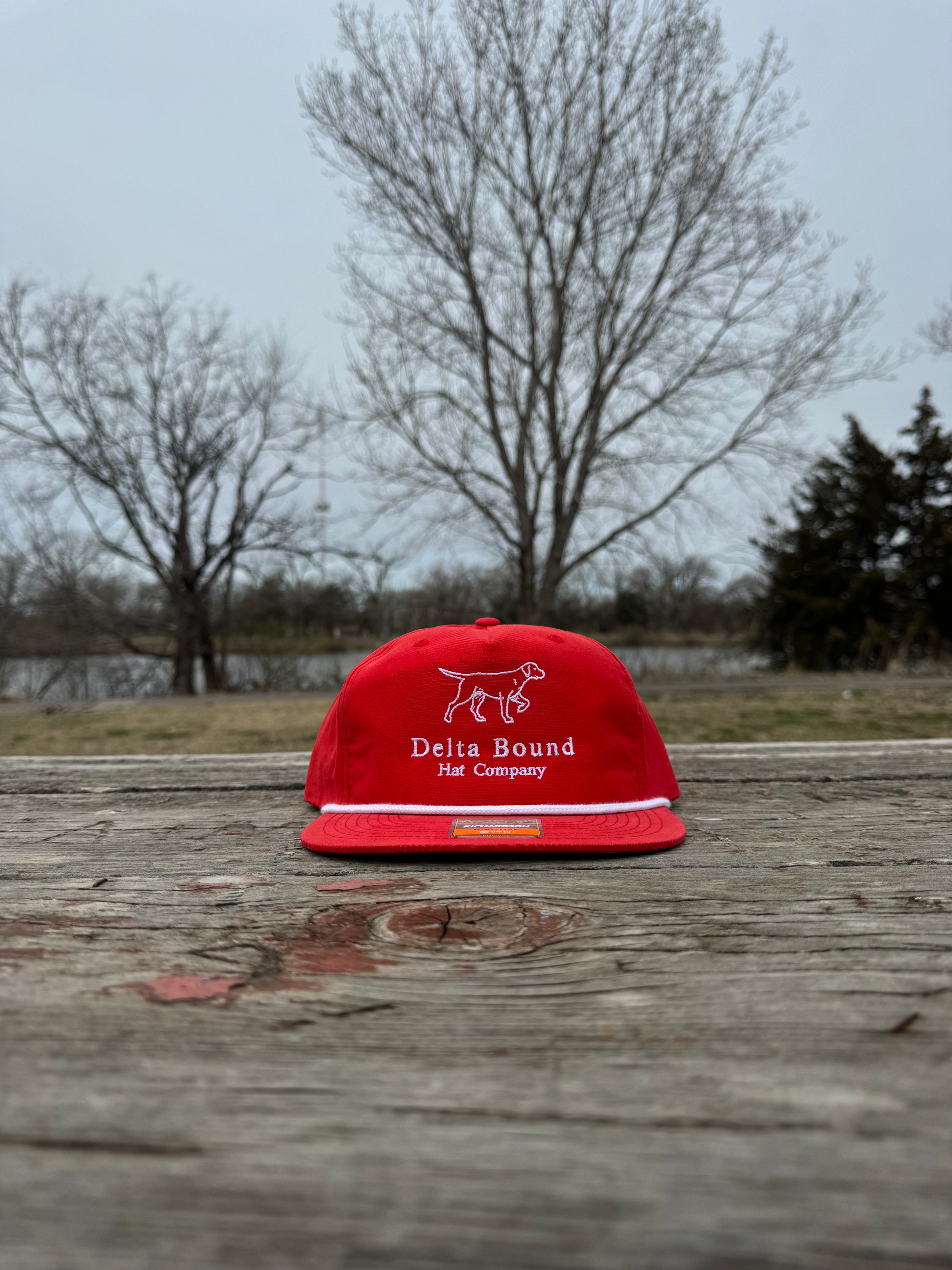 Red Clay - Dog